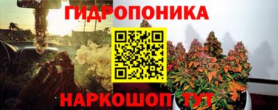 шишки Бузулук