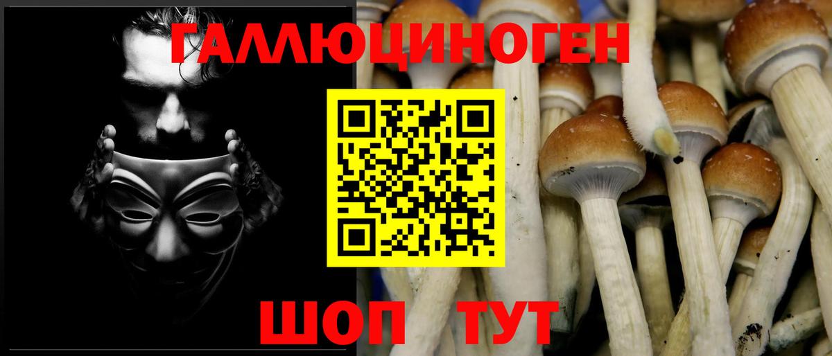 Галлюциногенные грибы ЛСД Шелехов