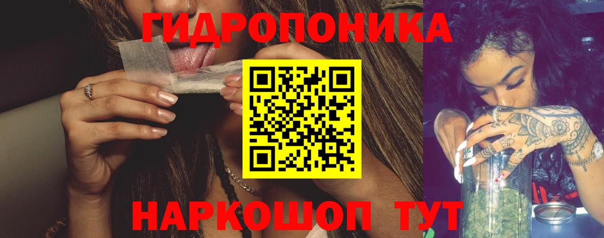 Каннабис OG Kush Шелехов